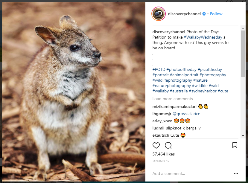 Use hashtags on Instagram
